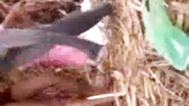 ಪೋರ್ನ್ ಆನ್ಲೈನ್ ಯಾವುದೇ ನೋಂದಣಿ ಹಾಟ್ ಹುಡುಗಿ ತನ್ನ ಕ್ಷೇತ್ರದಲ್ಲಿ